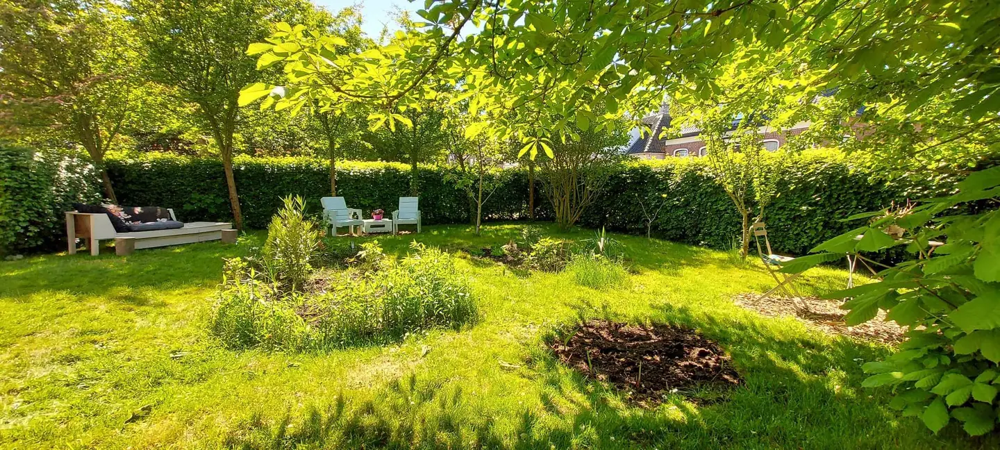 Theetuin & theehuis met een zitplek tussen het groen in Marrum